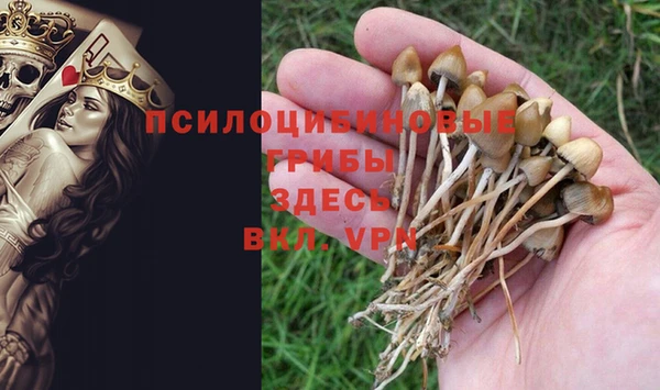 спиды Алзамай