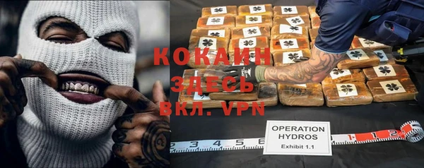 мяу мяу мука Алексеевка